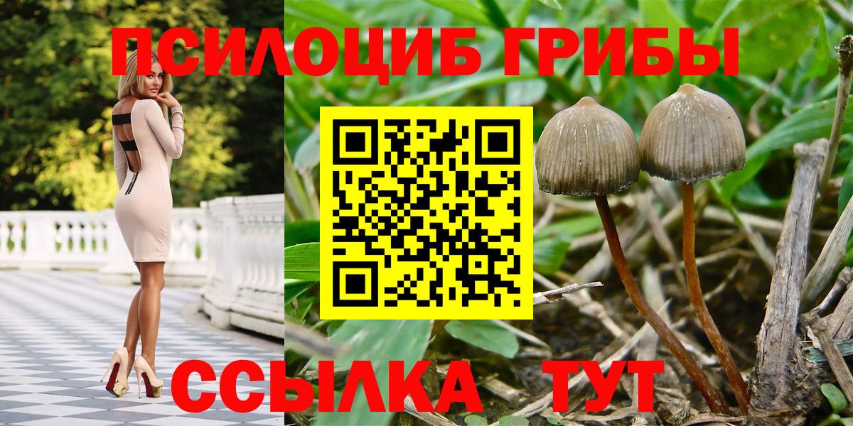 Галлюциногенные грибы Psilocybe  Вход с VPN  Псилоцибиновые грибы Magic Shrooms  Трёхгорный 